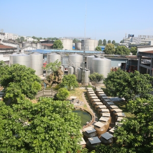 沈酒生產基地儲酒區